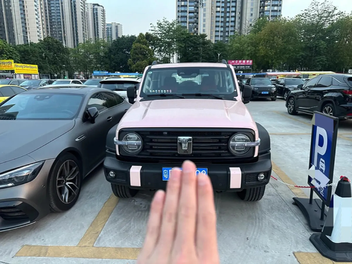 2024 Tank 300 2.0T 227HP L4 8AT,autocango,china used car exporter,china ev exporter,chinese used car exporter,chinese used ev exporter