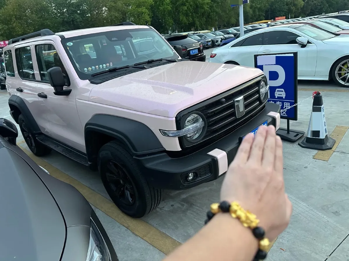 2024 Tank 300 2.0T 227HP L4 8AT,autocango,china used car exporter,china ev exporter,chinese used car exporter,chinese used ev exporter