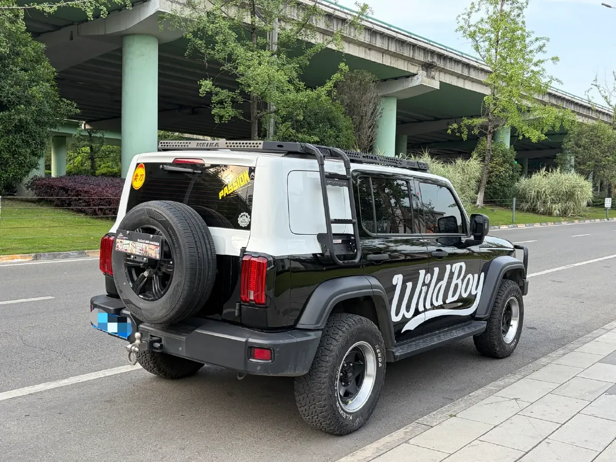 2021 Tank 300 2.0T 227HP L4 8AT,autocango,china used car exporter,china ev exporter,chinese used car exporter,chinese used ev exporter