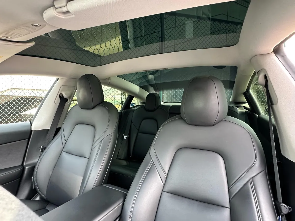 2021 Tesla Model 3 BEV 55KWH,autocango,china used car exporter,china ev exporter,chinese used car exporter,chinese used ev exporter