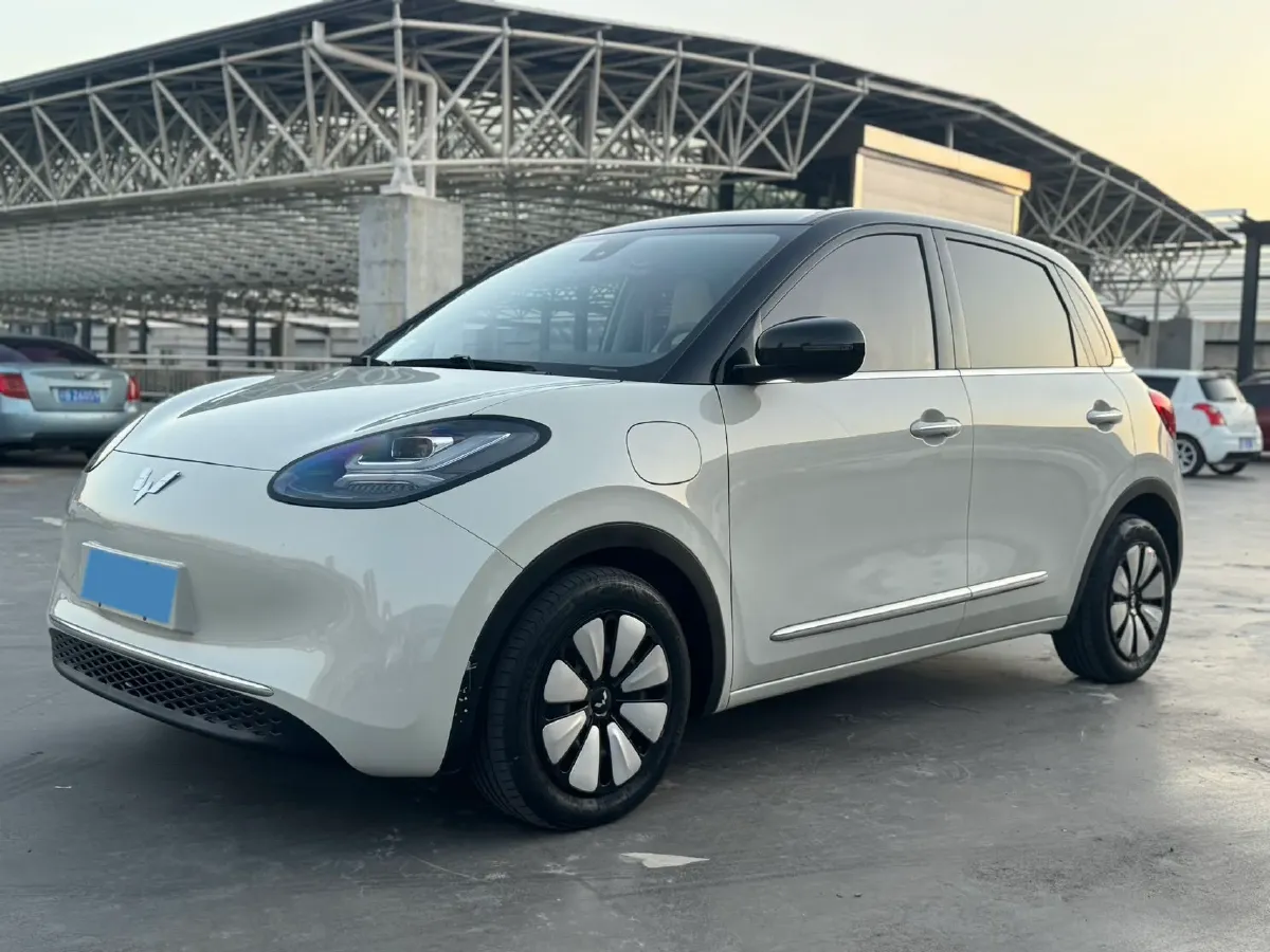 2023 WuLing BinGuo BEV 31.9KWH,autocango,china used car exporter,china ev exporter,chinese used car exporter,chinese used ev exporter