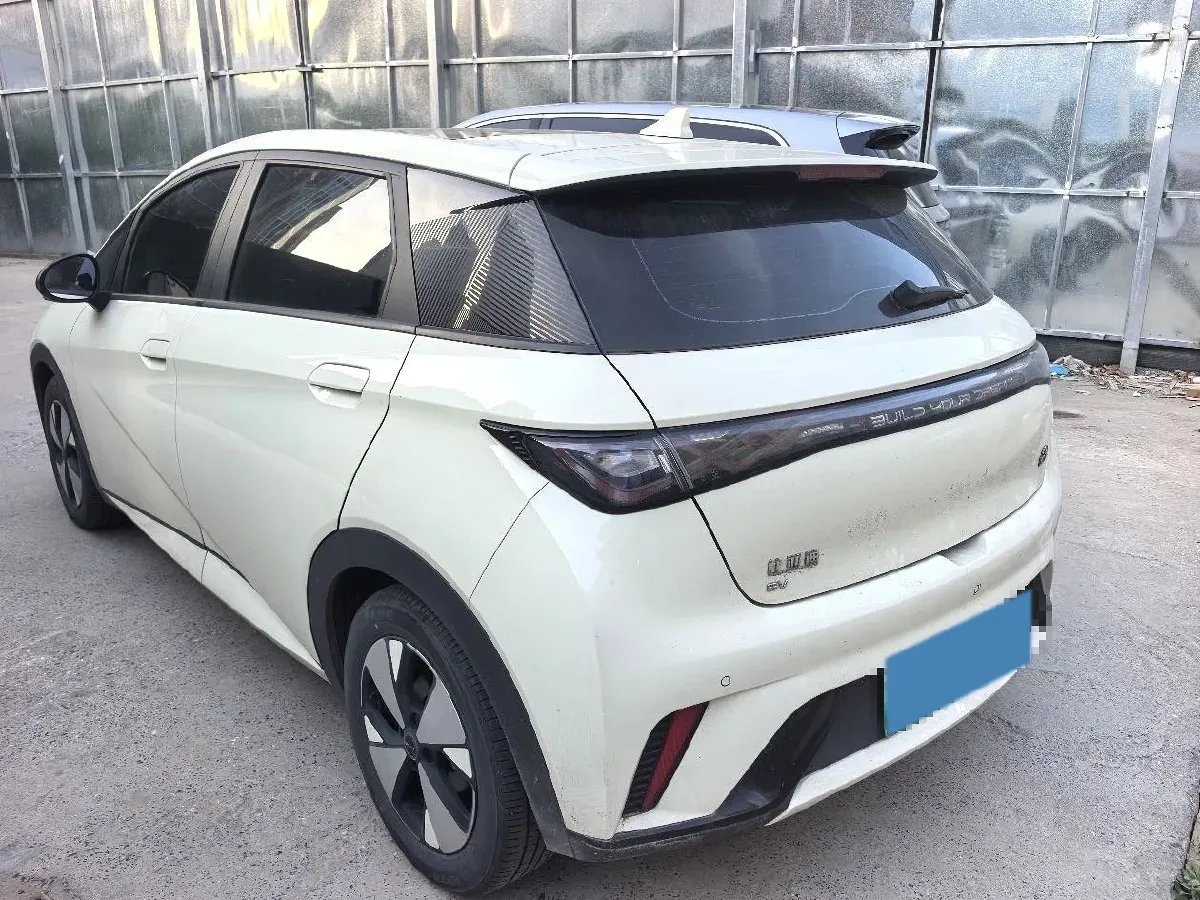 2023 BYD Dolphin BEV 44.928KWH,autocango,china used car exporter,china ev exporter,chinese used car exporter,chinese used ev exporter