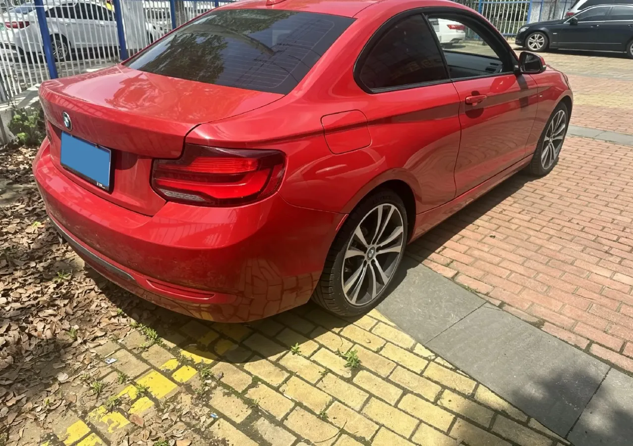 2019 BMW 2 Series 2.0T 184HP L4 8AT,autocango,china used car exporter,china ev exporter,chinese used car exporter,chinese used ev exporter