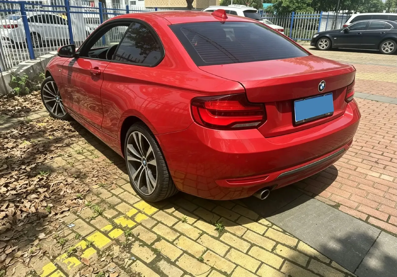 2019 BMW 2 Series 2.0T 184HP L4 8AT,autocango,china used car exporter,china ev exporter,chinese used car exporter,chinese used ev exporter