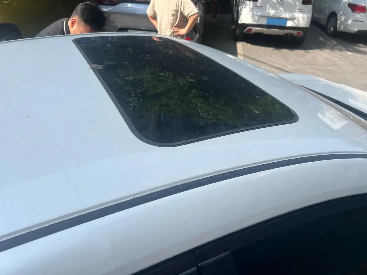 2020 Nissan Sylphy 1.6L 135HP L4 CVT,autocango,china used car exporter,china ev exporter,chinese used car exporter,chinese used ev exporter