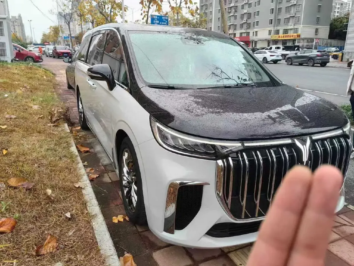 2022 Voyah Dream 1.5T 136HP L4 PHEV 25.57KWH,autocango,china used car exporter,china ev exporter,chinese used car exporter,chinese used ev exporter
