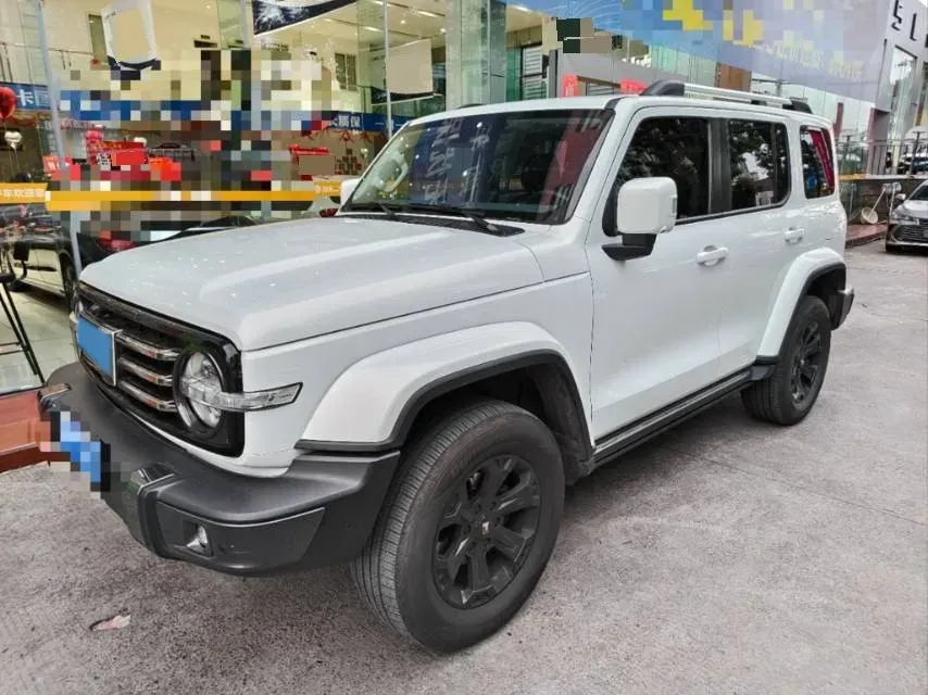 2021 Tank 300 2.0T 227HP L4 8AT,autocango,china used car exporter,china ev exporter,chinese used car exporter,chinese used ev exporter