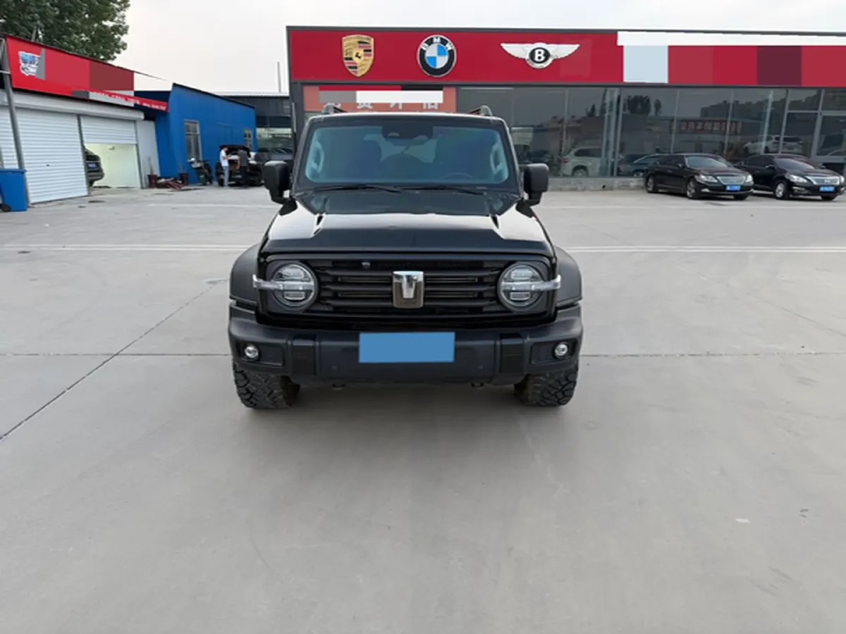2024 Tank 300 2.0T 227HP L4 8AT,autocango,china used car exporter,china ev exporter,chinese used car exporter,chinese used ev exporter