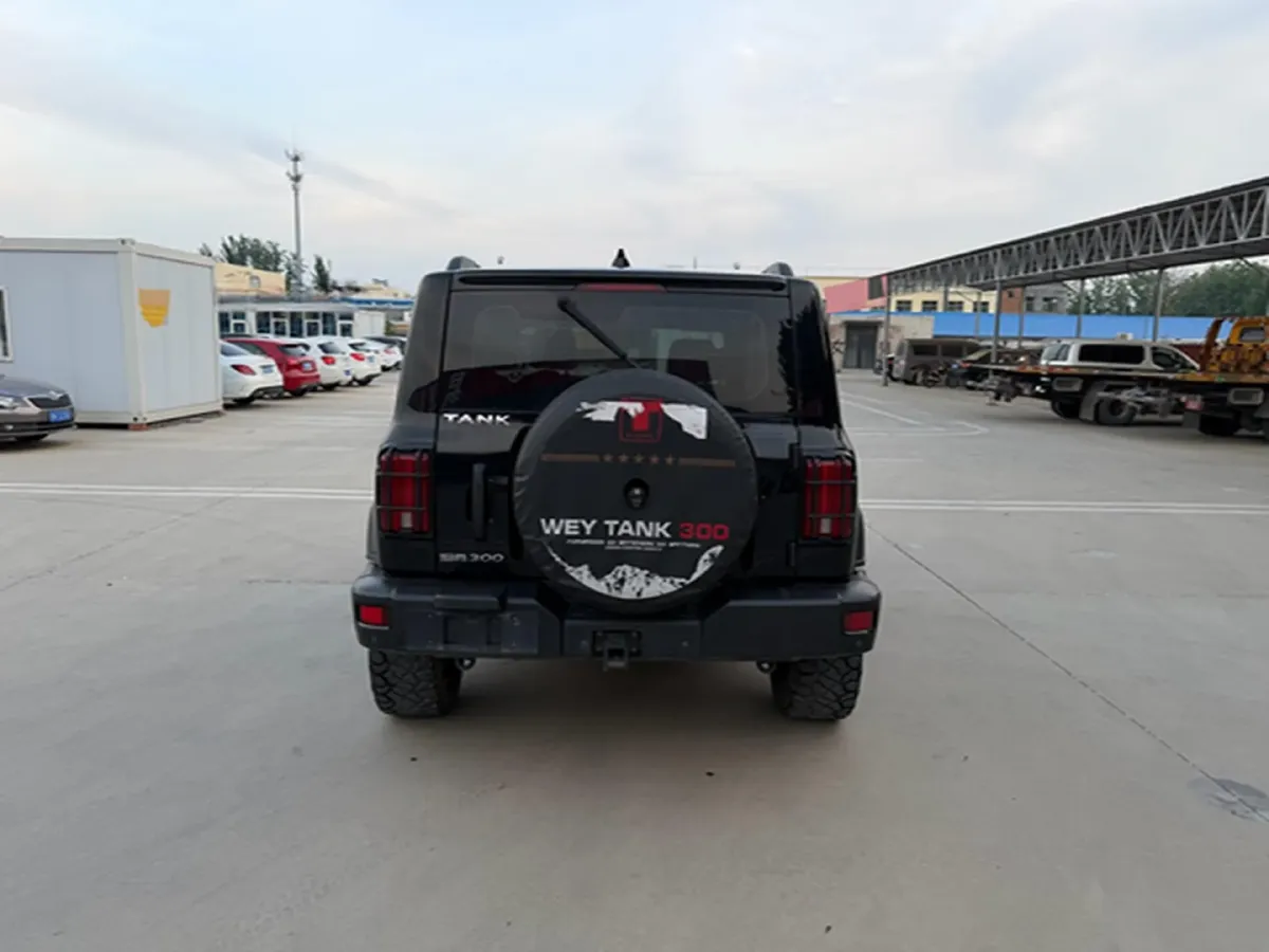2024 Tank 300 2.0T 227HP L4 8AT,autocango,china used car exporter,china ev exporter,chinese used car exporter,chinese used ev exporter