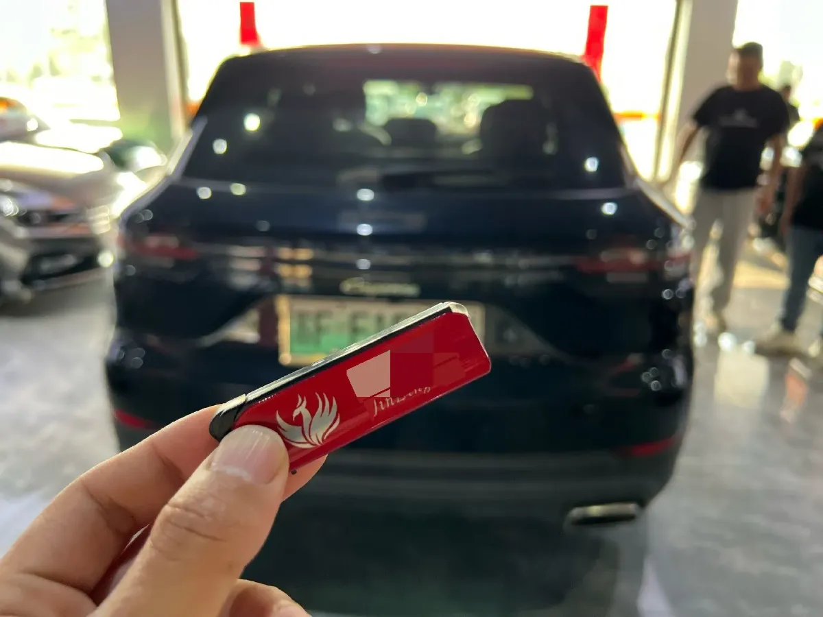 2021 Porsche Cayenne 2.0T 252HP L4 8AT PHEV 17.9KWH,autocango,china used car exporter,china ev exporter,chinese used car exporter,chinese used ev exporter