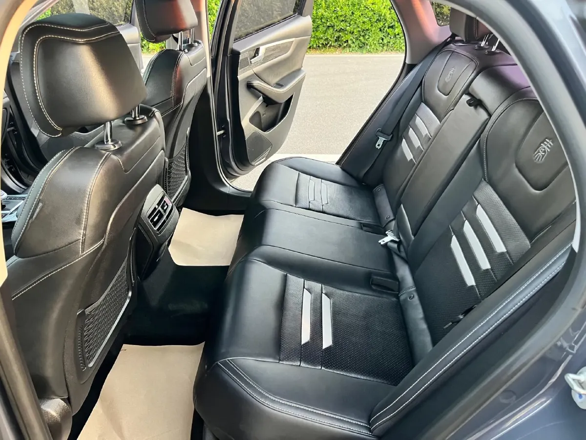 2019 BYD Qin Pro BEV 56.4KWH,autocango,china used car exporter,china ev exporter,chinese used car exporter,chinese used ev exporter