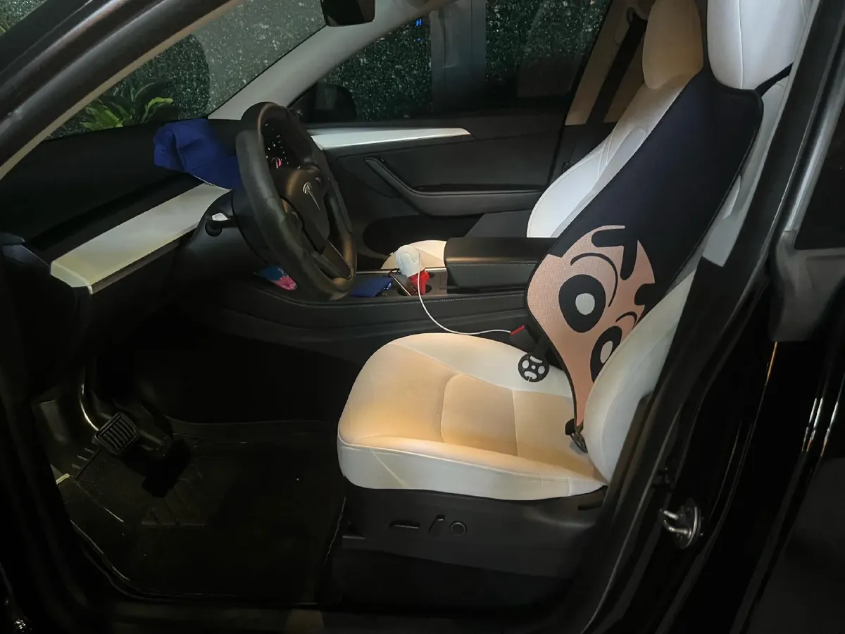 2022 Tesla Model Y BEV 60KWH,autocango,china used car exporter,china ev exporter,chinese used car exporter,chinese used ev exporter