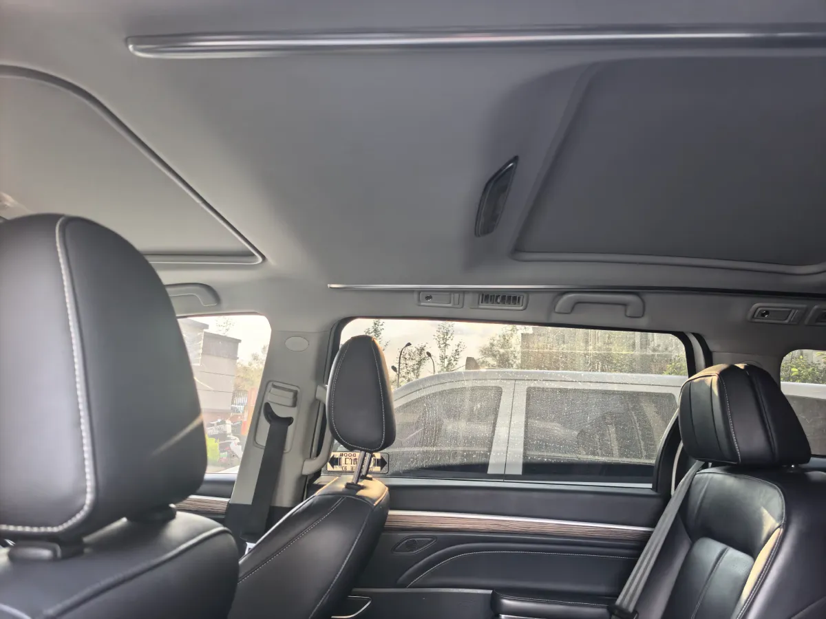 2021 GAC Trumpchi M8 2.0T 252HP L4 8AT,autocango,china used car exporter,china ev exporter,chinese used car exporter,chinese used ev exporter