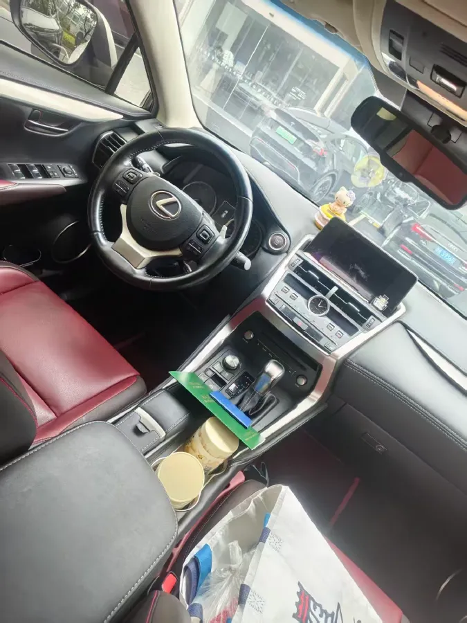 2018 Lexus NX 2.0L 150HP L4 CVT,autocango,china used car exporter,china ev exporter,chinese used car exporter,chinese used ev exporter