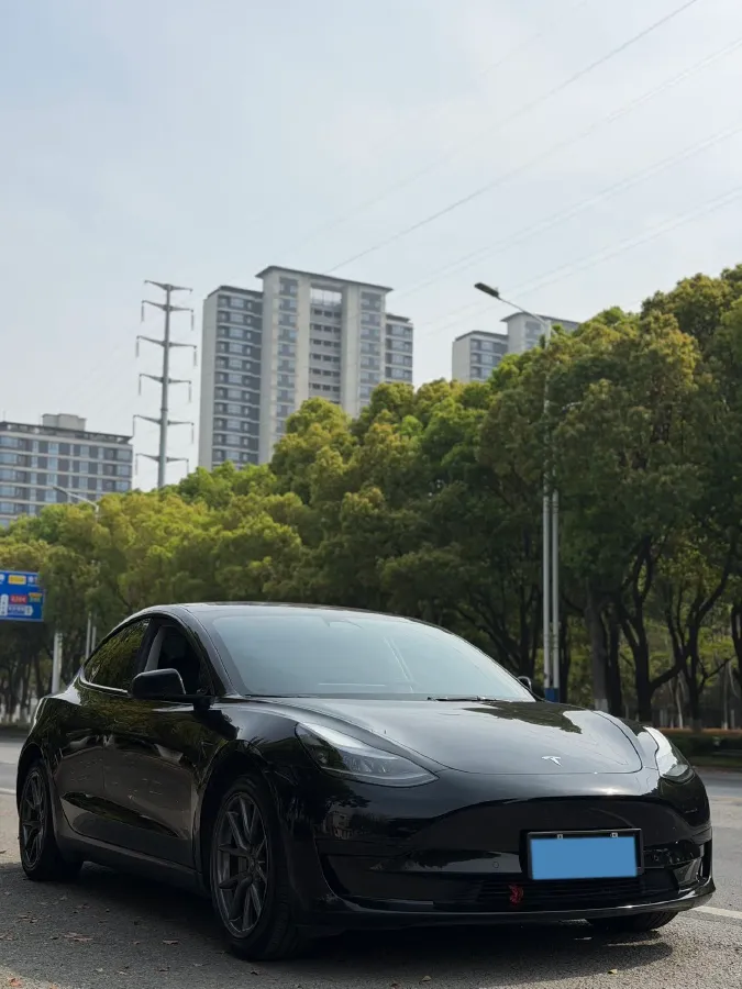 2021 Tesla Model 3 BEV 55KWH,autocango,china used car exporter,china ev exporter,chinese used car exporter,chinese used ev exporter