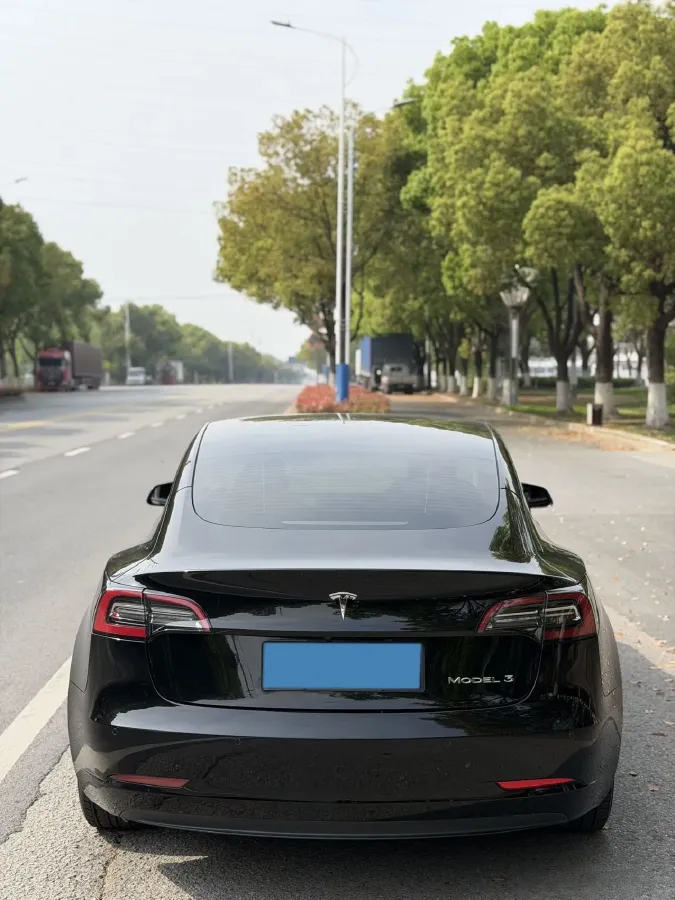 2021 Tesla Model 3 BEV 55KWH,autocango,china used car exporter,china ev exporter,chinese used car exporter,chinese used ev exporter