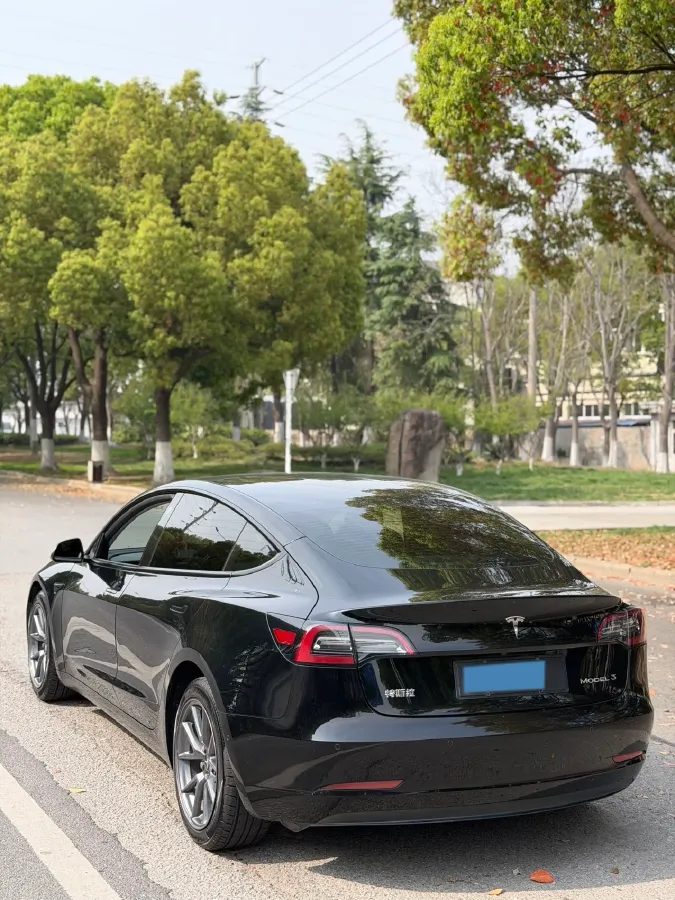 2021 Tesla Model 3 BEV 55KWH,autocango,china used car exporter,china ev exporter,chinese used car exporter,chinese used ev exporter