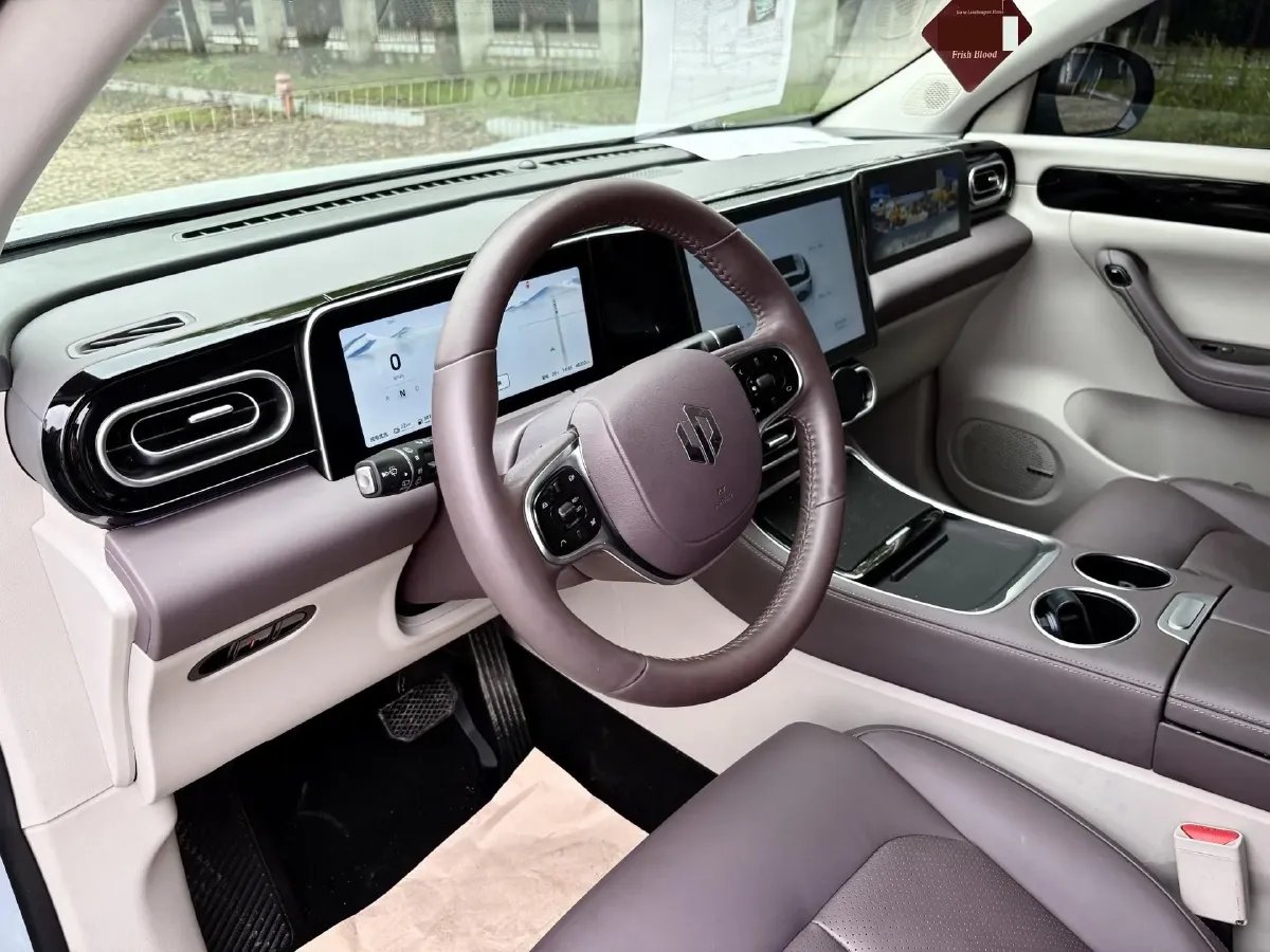 2024 Leapmotor C11 1.5L 95HP L4 REEV 30.1KWH,autocango,china used car exporter,china ev exporter,chinese used car exporter,chinese used ev exporter