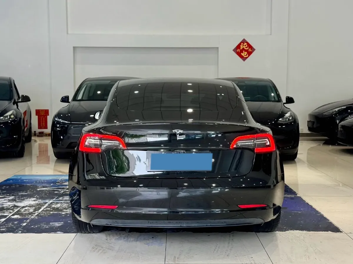 2021 Tesla Model 3 BEV 55KWH,autocango,china used car exporter,china ev exporter,chinese used car exporter,chinese used ev exporter