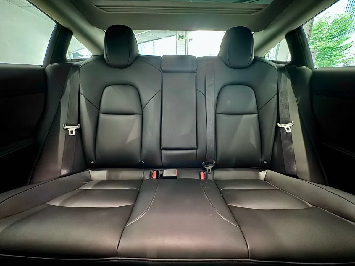 2021 Tesla Model 3 BEV 55KWH,autocango,china used car exporter,china ev exporter,chinese used car exporter,chinese used ev exporter