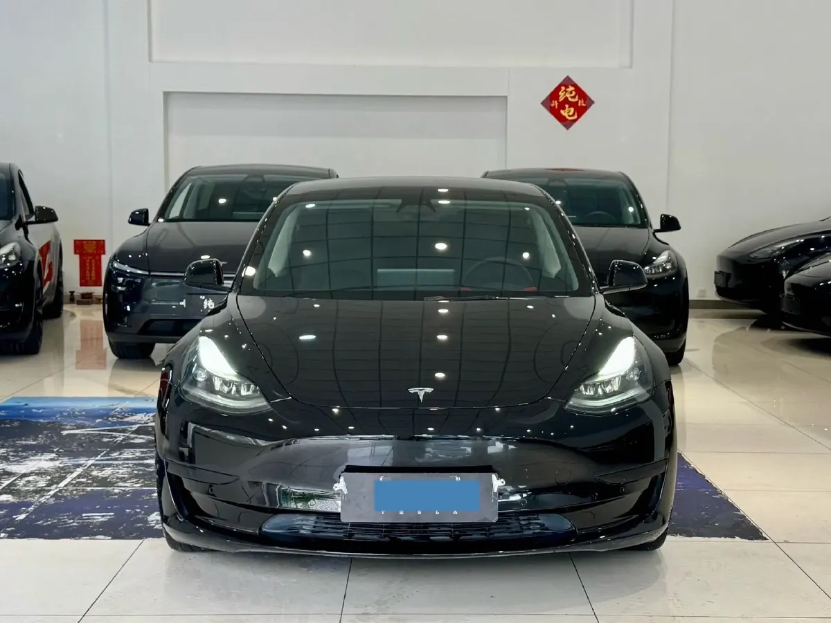 2021 Tesla Model 3 BEV 55KWH,autocango,china used car exporter,china ev exporter,chinese used car exporter,chinese used ev exporter