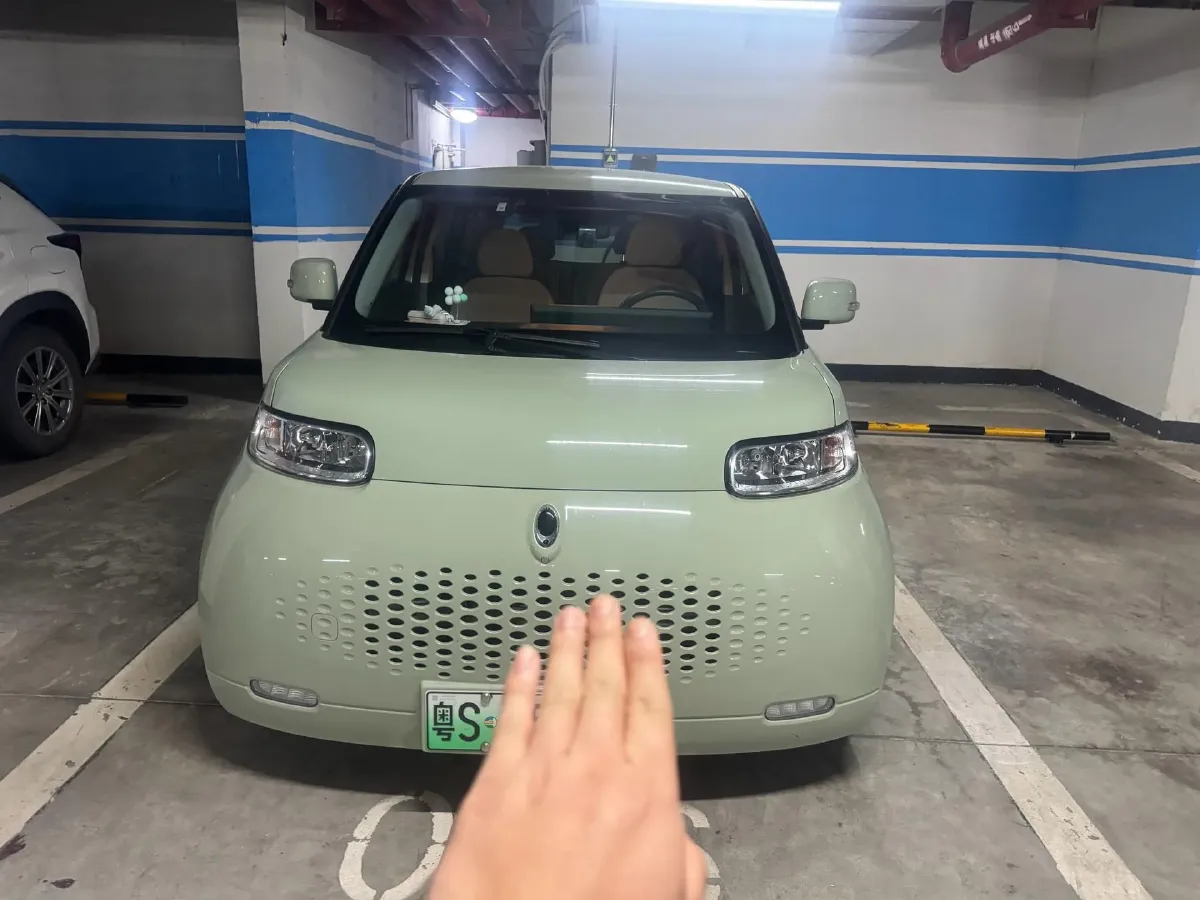 2020 Ora WhiteCat BEV 29.4KWH,autocango,china used car exporter,china ev exporter,chinese used car exporter,chinese used ev exporter