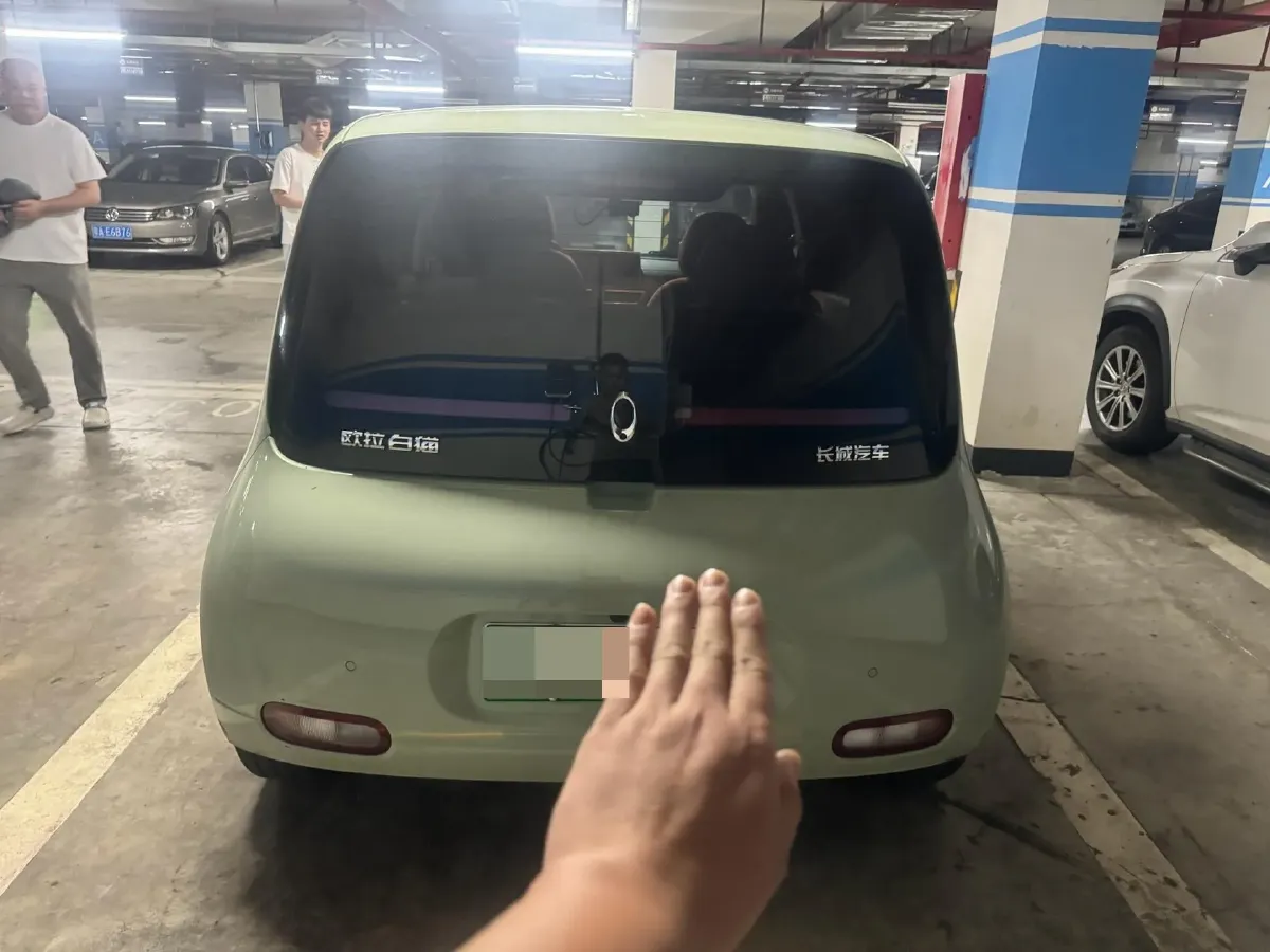 2020 Ora WhiteCat BEV 29.4KWH,autocango,china used car exporter,china ev exporter,chinese used car exporter,chinese used ev exporter