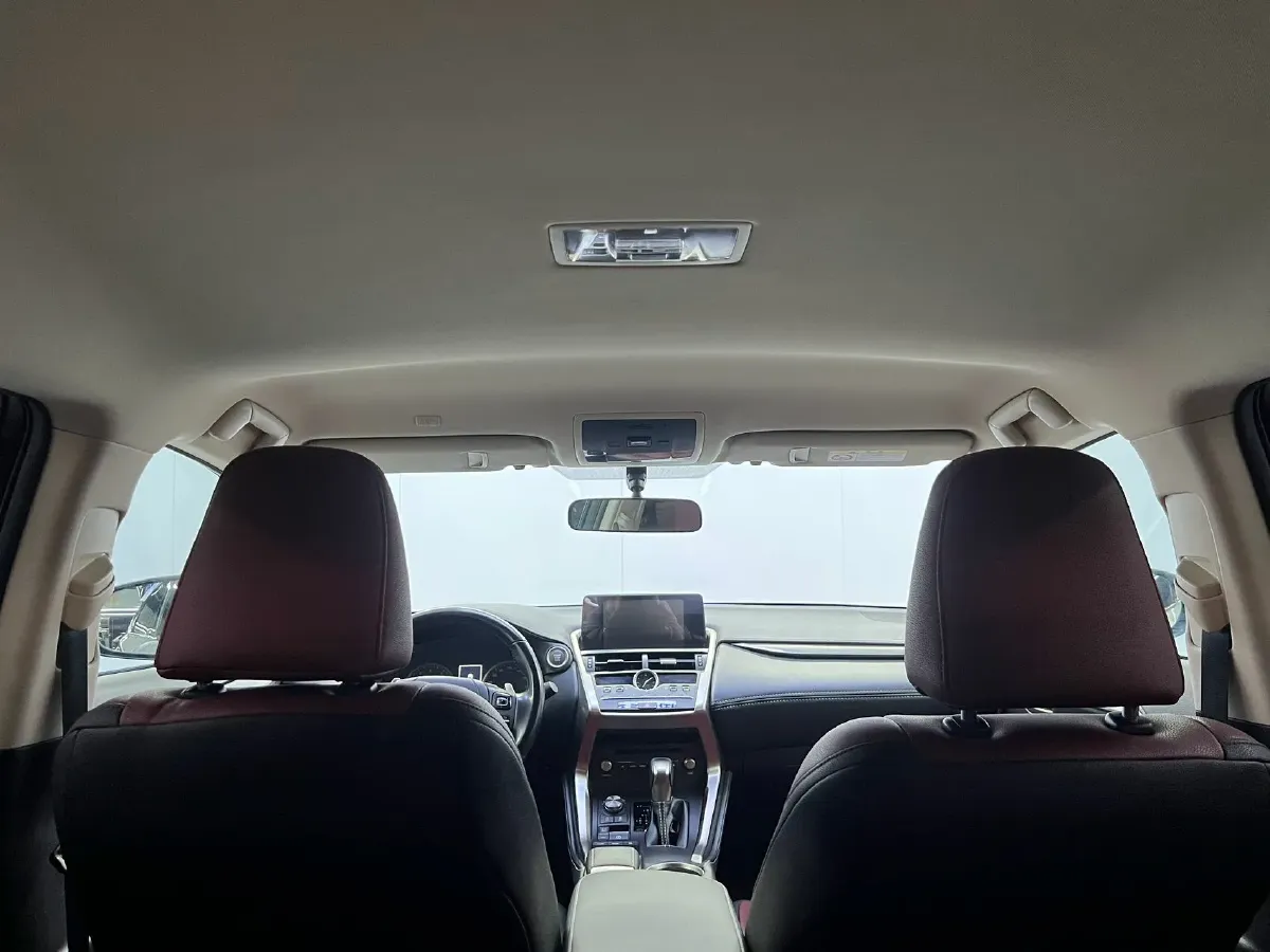 2020 Lexus NX 2.0L 150HP L4 CVT,autocango,china used car exporter,china ev exporter,chinese used car exporter,chinese used ev exporter