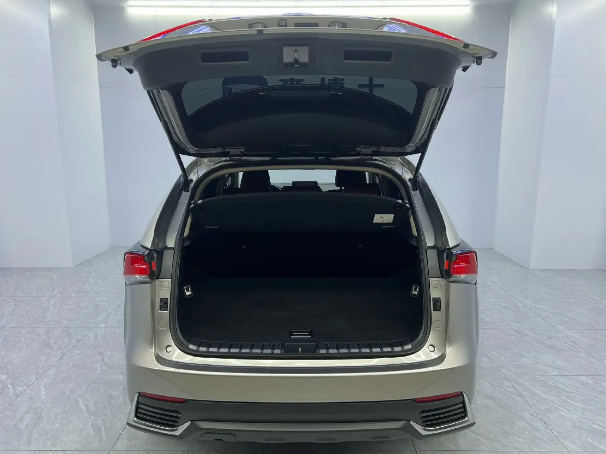 2020 Lexus NX 2.0L 150HP L4 CVT,autocango,china used car exporter,china ev exporter,chinese used car exporter,chinese used ev exporter