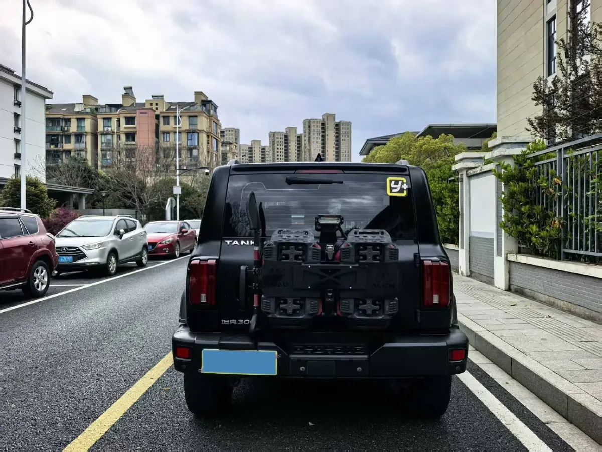 2021 Tank 300 2.0T 227HP L4 8AT,autocango,china used car exporter,china ev exporter,chinese used car exporter,chinese used ev exporter