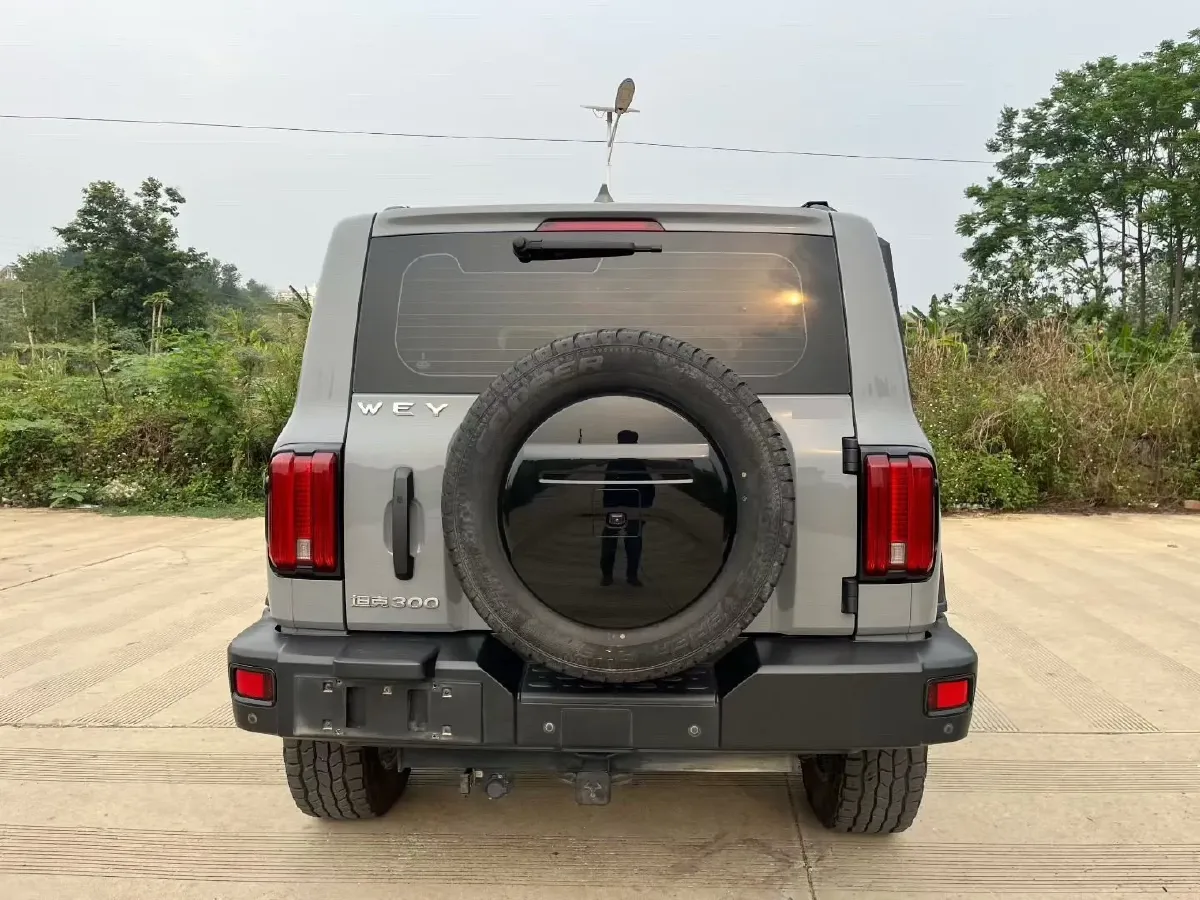 2021 Tank 300 2.0T 227HP L4 8AT,autocango,china used car exporter,china ev exporter,chinese used car exporter,chinese used ev exporter