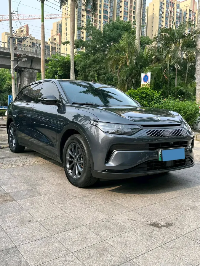 2023 Leapmotor C11 Range Extended 131HP REEV 43.74KWH,autocango,china used car exporter,china ev exporter,chinese used car exporter,chinese used ev exporter