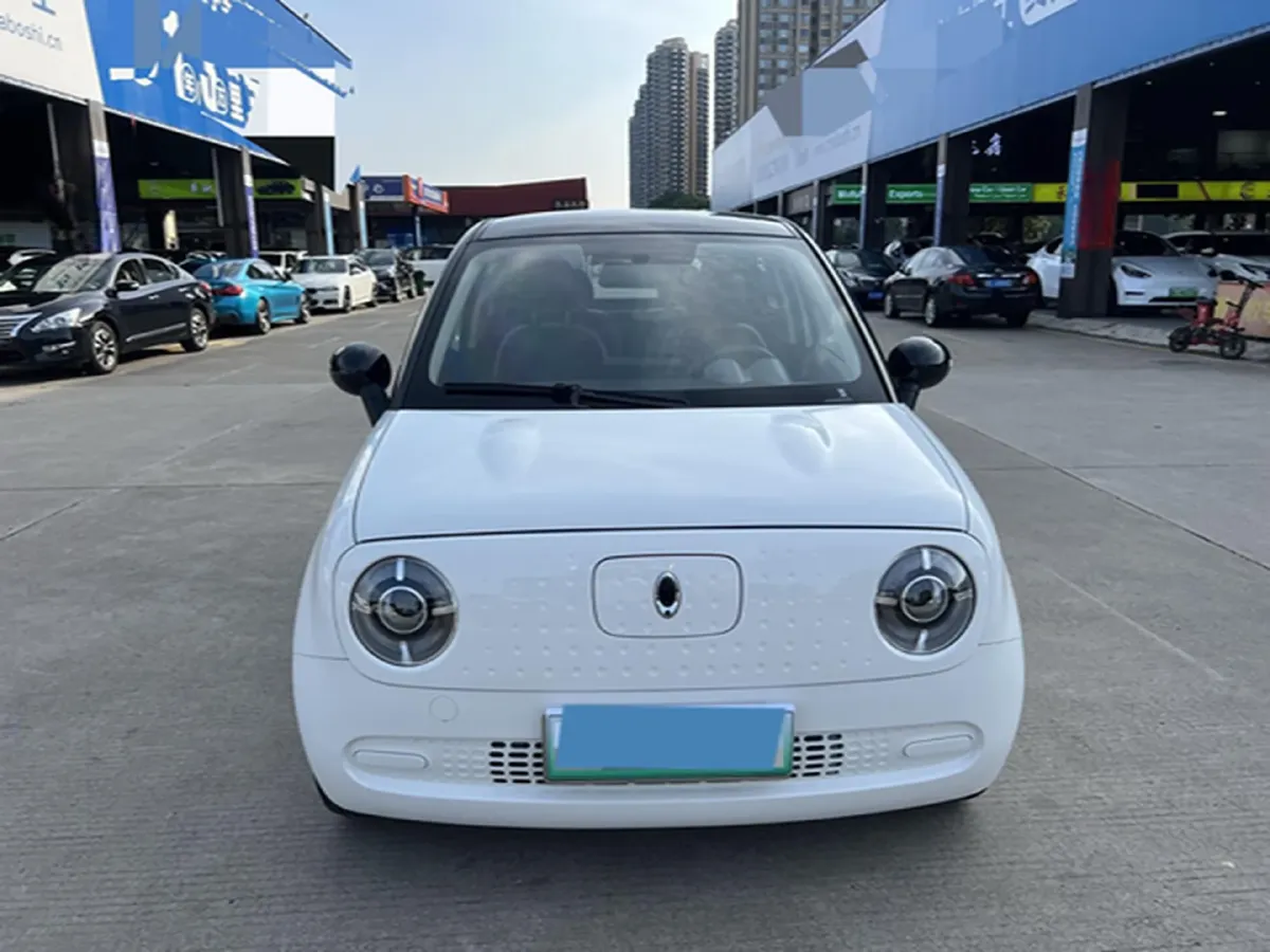 2021 Ora BlackCat BEV 30.3KWH,autocango,china used car exporter,china ev exporter,chinese used car exporter,chinese used ev exporter