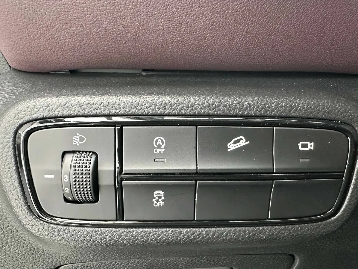 2021 GAC Trumpchi M6 1.5T 169HP L4 6AT,autocango,china used car exporter,china ev exporter,chinese used car exporter,chinese used ev exporter