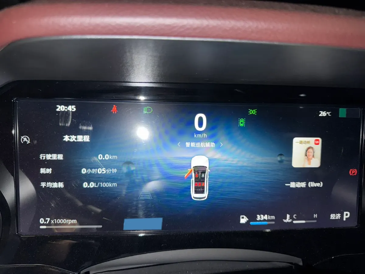 2024 Geely Monjaro 2.0T 238HP L4 8AT,autocango,china used car exporter,china ev exporter,chinese used car exporter,chinese used ev exporter