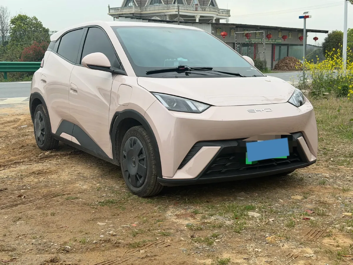 2024 BYD Seagull BEV 30.08KWH,autocango,china used car exporter,china ev exporter,chinese used car exporter,chinese used ev exporter