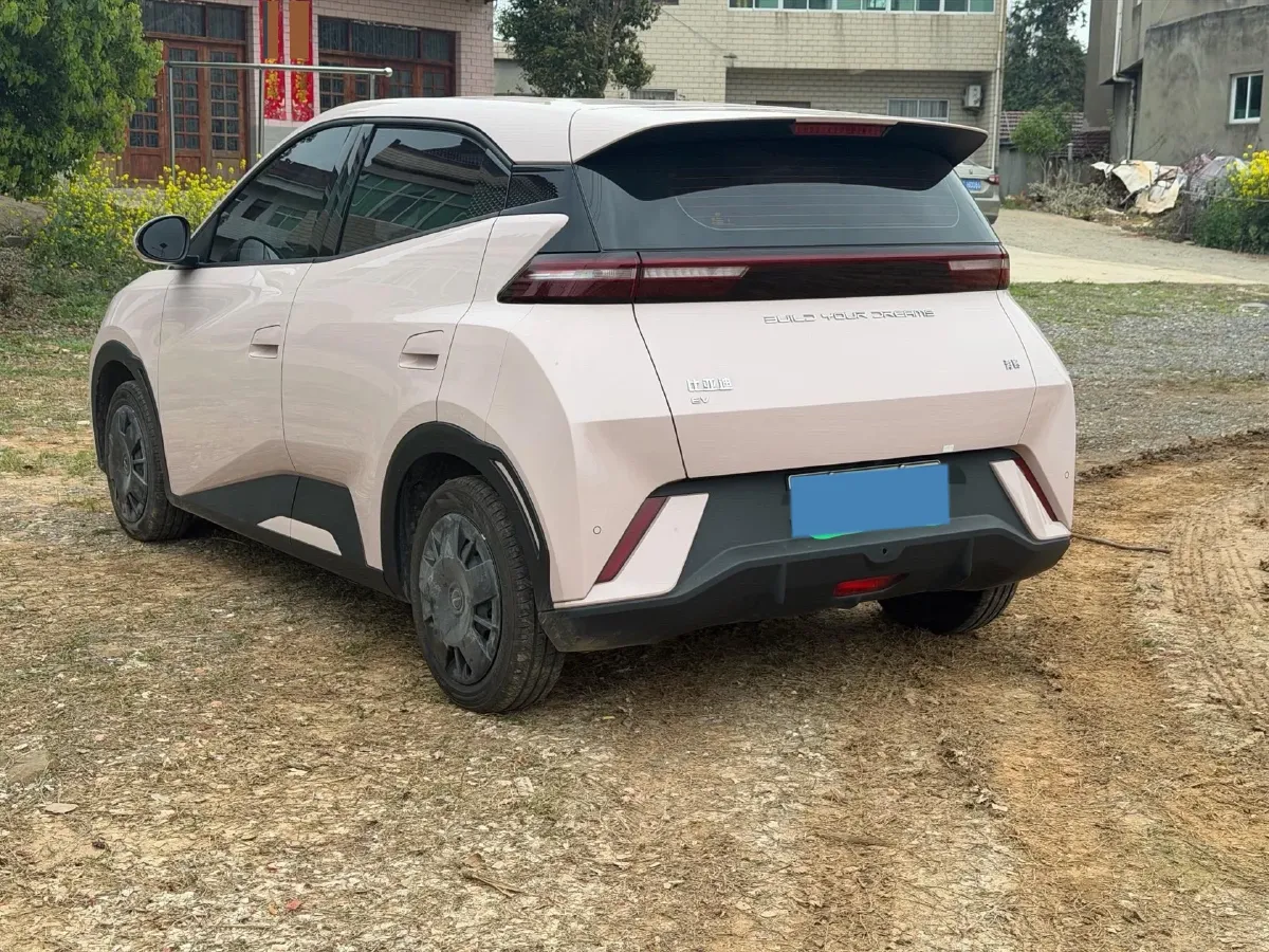 2024 BYD Seagull BEV 30.08KWH,autocango,china used car exporter,china ev exporter,chinese used car exporter,chinese used ev exporter