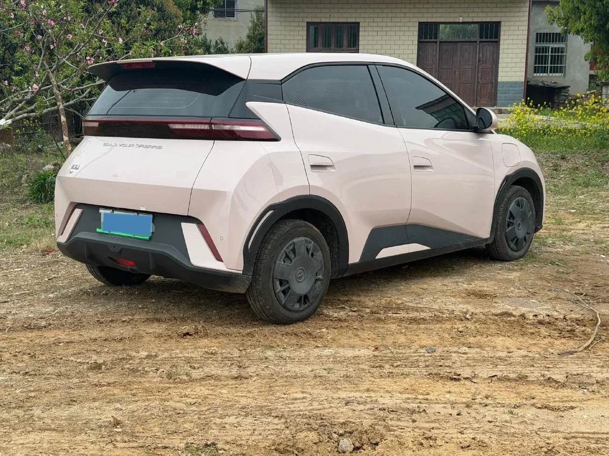 2024 BYD Seagull BEV 30.08KWH,autocango,china used car exporter,china ev exporter,chinese used car exporter,chinese used ev exporter