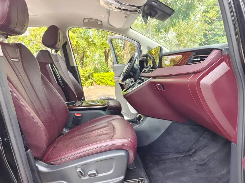 2023 HongQi HQ9 2.0T 252HP L4 8AT,autocango,china used car exporter,china ev exporter,chinese used car exporter,chinese used ev exporter