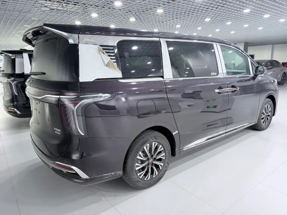 2024 HongQi HQ9 2.0T 163HP L4 1DHT PHEV 20.14KWH,autocango,china used car exporter,china ev exporter,chinese used car exporter,chinese used ev exporter