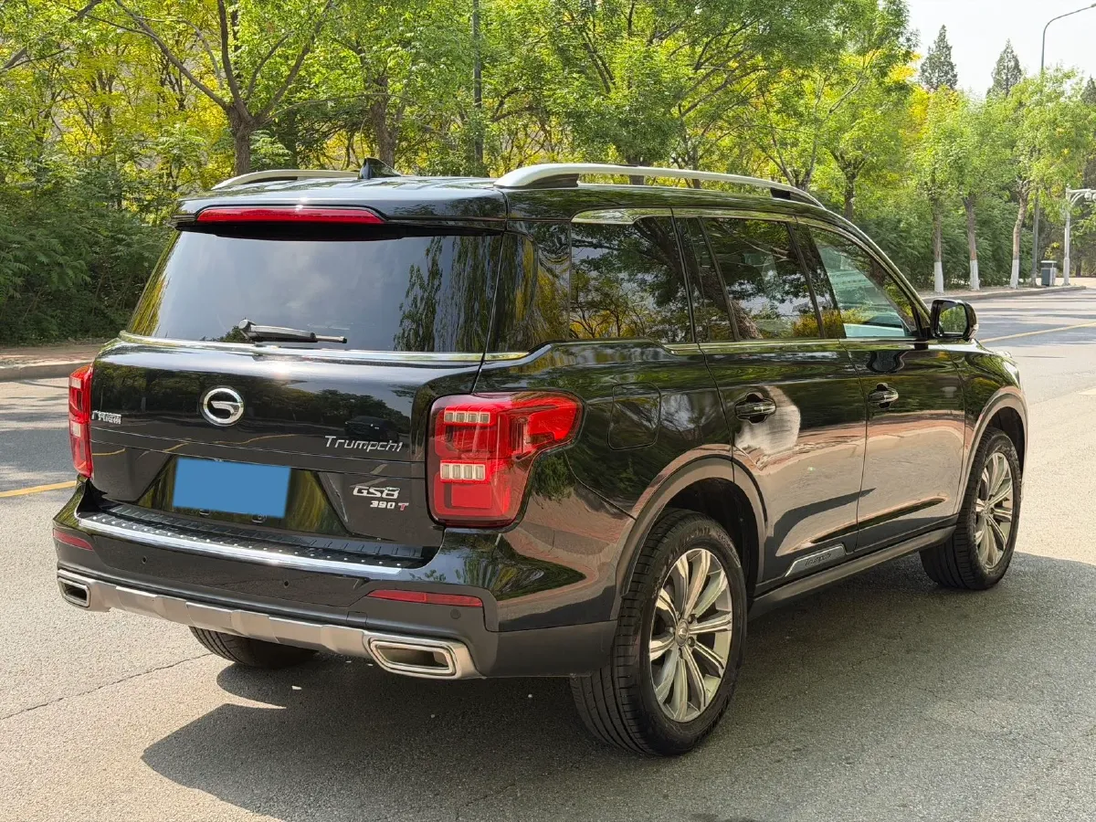 2019 GAC Trumpchi GS8 2.0T 252HP L4 6AT,autocango,china used car exporter,china ev exporter,chinese used car exporter,chinese used ev exporter