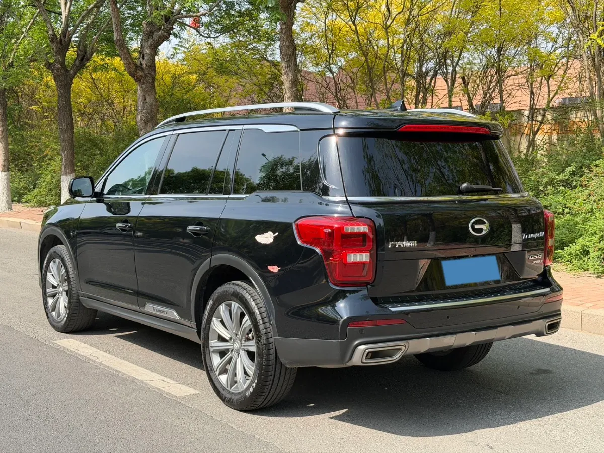 2019 GAC Trumpchi GS8 2.0T 252HP L4 6AT,autocango,china used car exporter,china ev exporter,chinese used car exporter,chinese used ev exporter