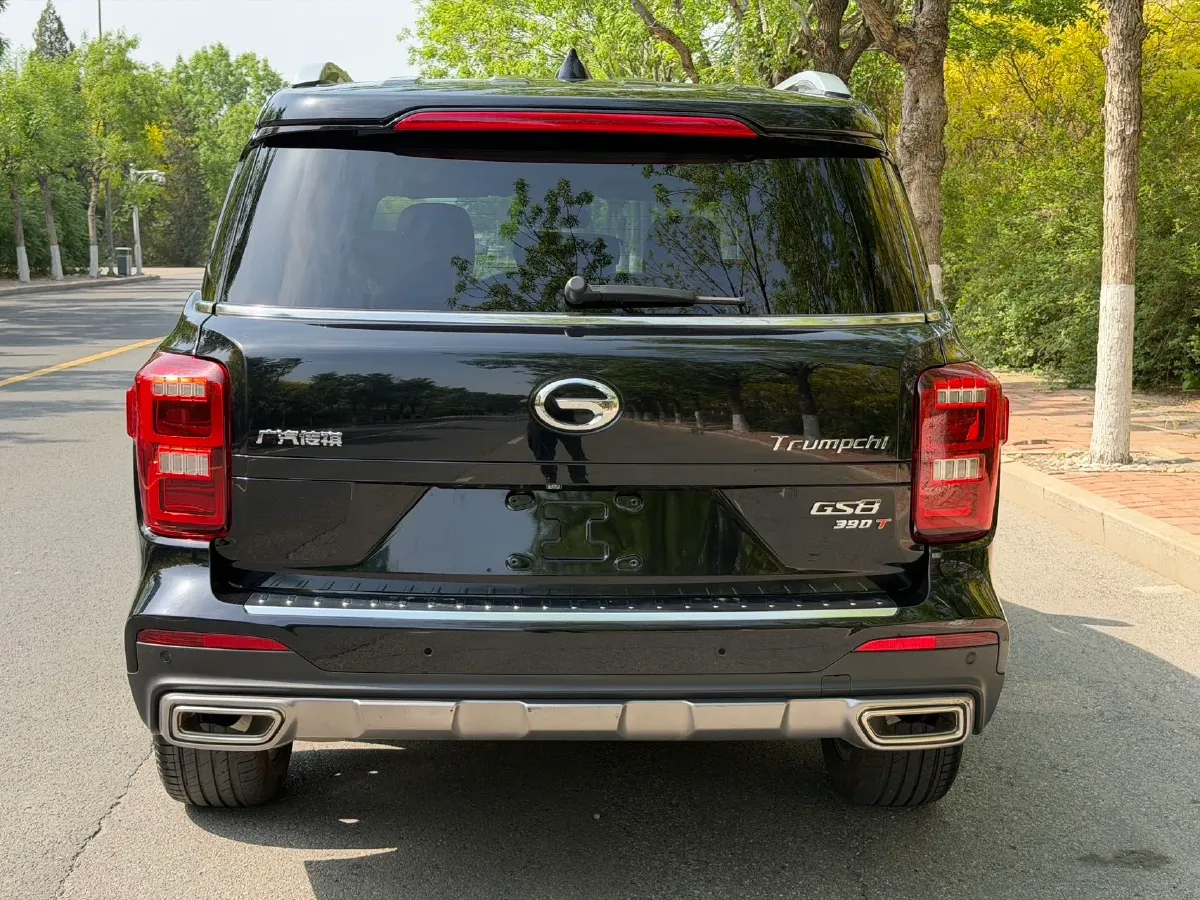 2019 GAC Trumpchi GS8 2.0T 252HP L4 6AT,autocango,china used car exporter,china ev exporter,chinese used car exporter,chinese used ev exporter