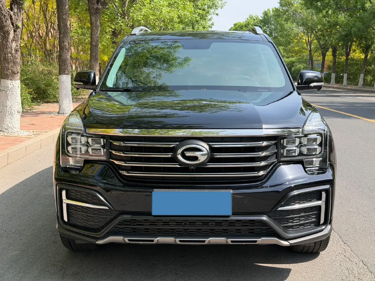 2019 GAC Trumpchi GS8 2.0T 252HP L4 6AT,autocango,china used car exporter,china ev exporter,chinese used car exporter,chinese used ev exporter