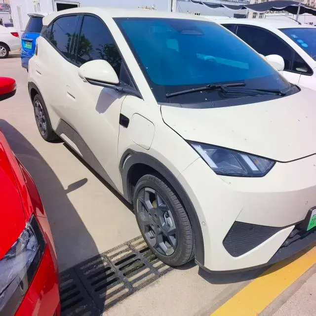 2025 BYD Seagull BEV 30.08KWH,autocango,china used car exporter,china ev exporter,chinese used car exporter,chinese used ev exporter