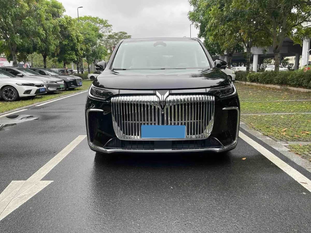2025 Voyah Dream 1.5T 150HP L4 PHEV 41.7KWH,autocango,china used car exporter,china ev exporter,chinese used car exporter,chinese used ev exporter