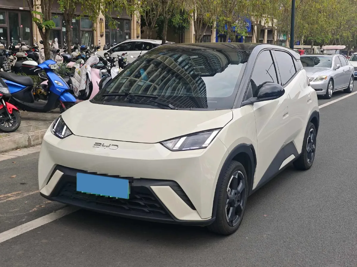 2024 BYD Seagull BEV 30.08KWH,autocango,china used car exporter,china ev exporter,chinese used car exporter,chinese used ev exporter