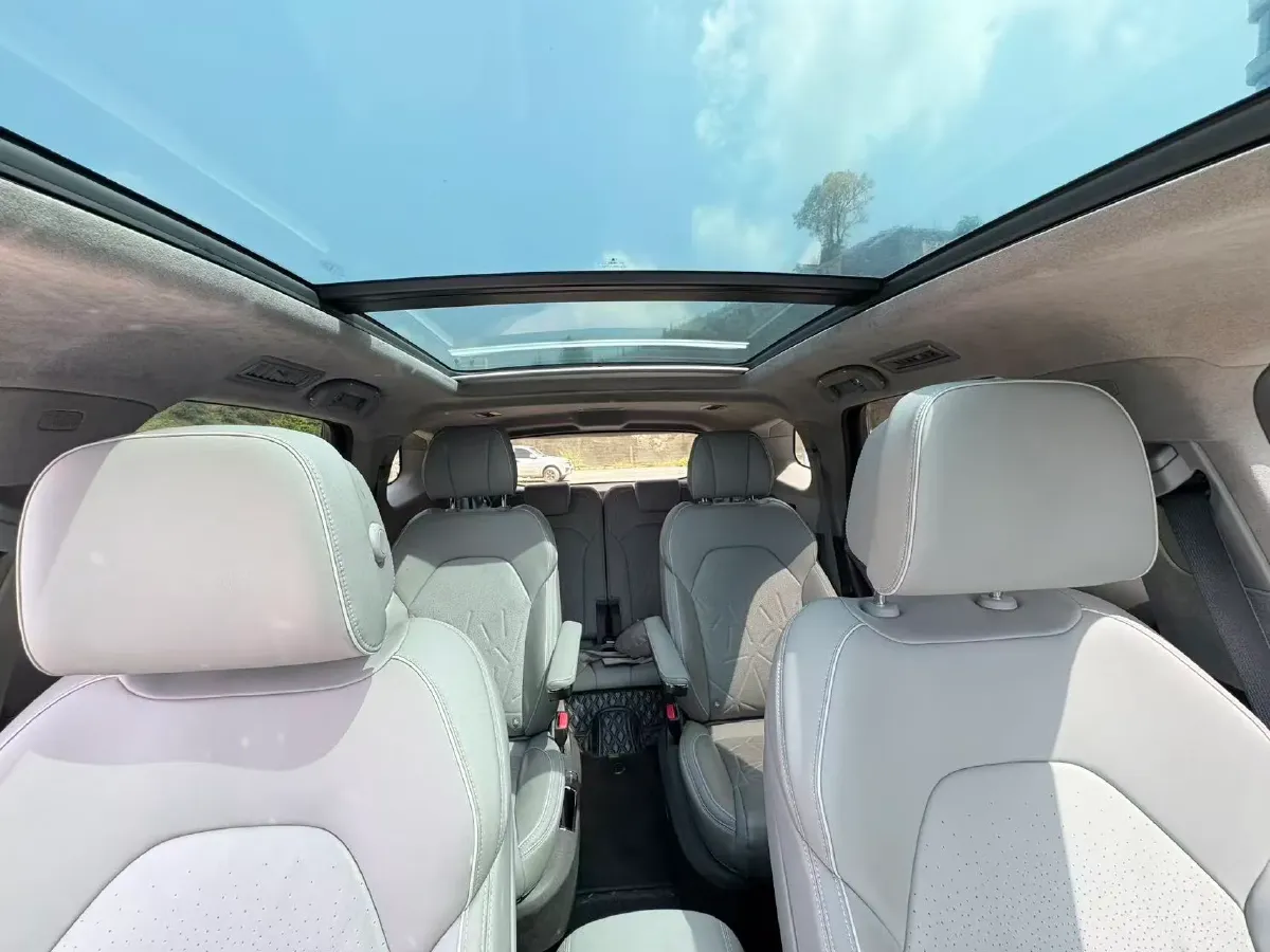 2023 Denza N8 1.5T 139HP L4 E-CVT PHEV 45.8KWH,autocango,china used car exporter,china ev exporter,chinese used car exporter,chinese used ev exporter