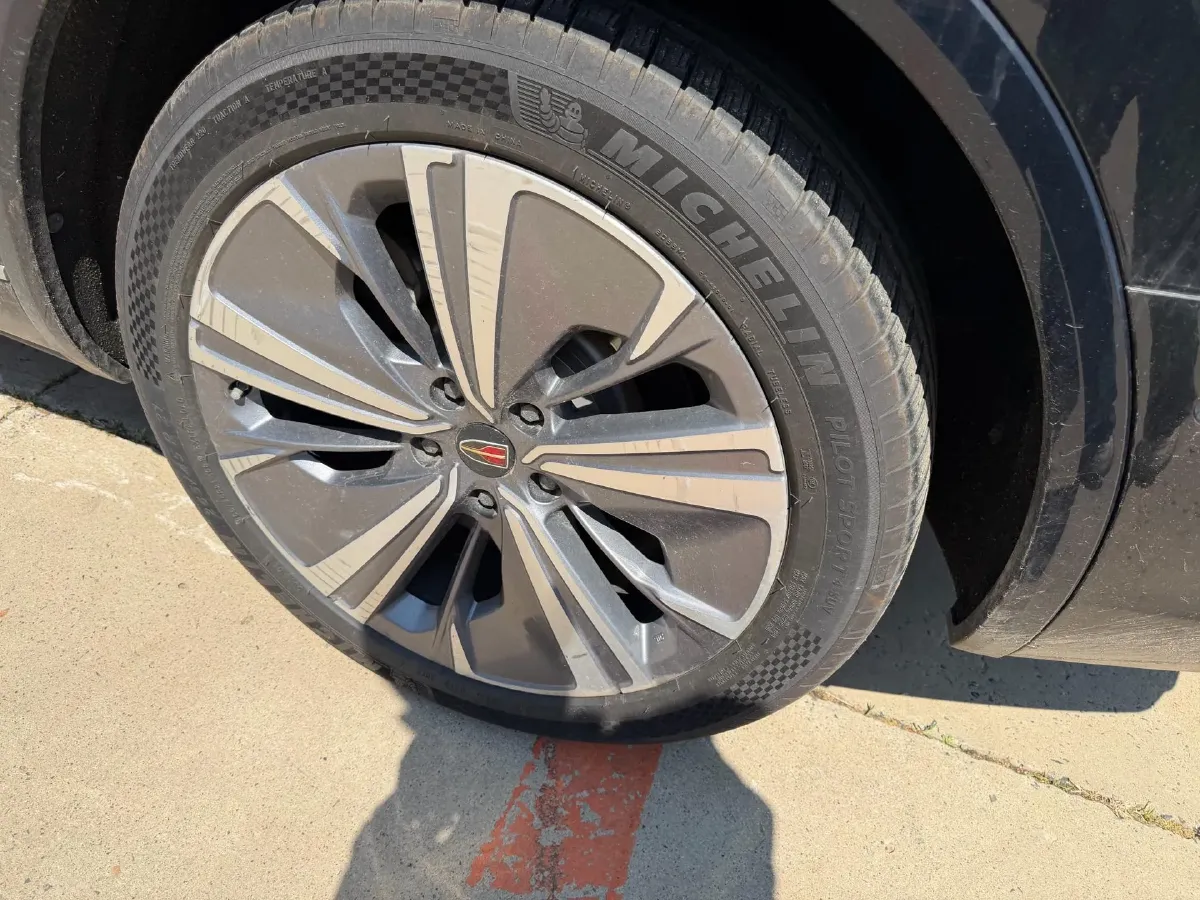 2021 HongQi E-HS9 BEV 84KWH,autocango,china used car exporter,china ev exporter,chinese used car exporter,chinese used ev exporter