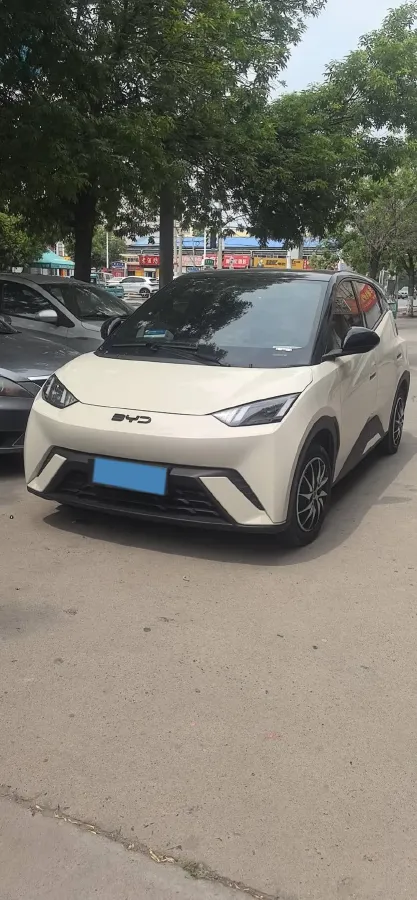 2025 BYD Seagull BEV 30.08KWH,autocango,china used car exporter,china ev exporter,chinese used car exporter,chinese used ev exporter